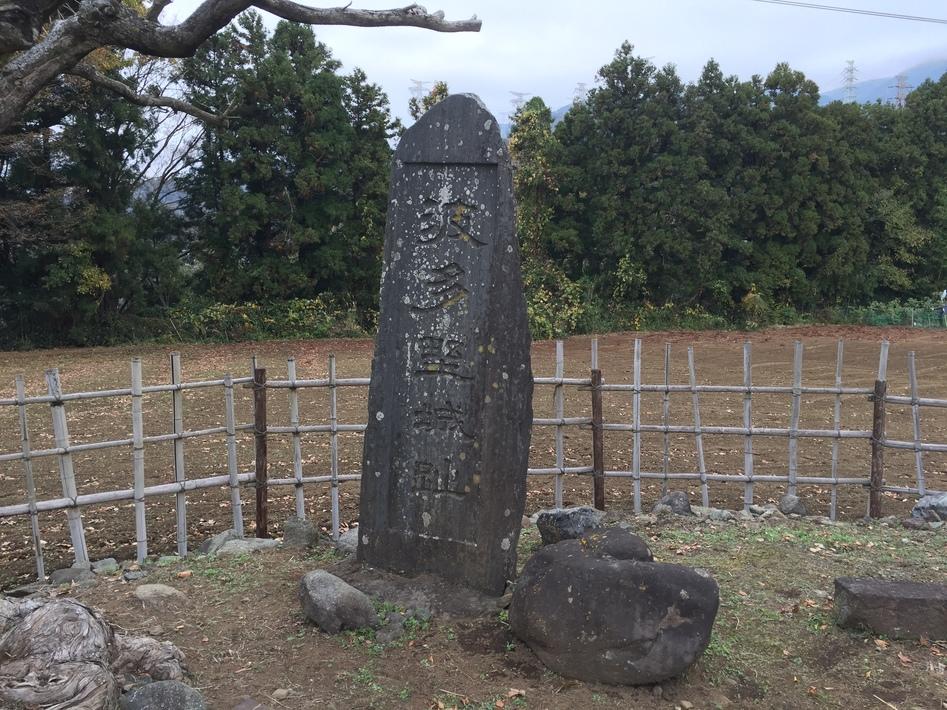 波多野城