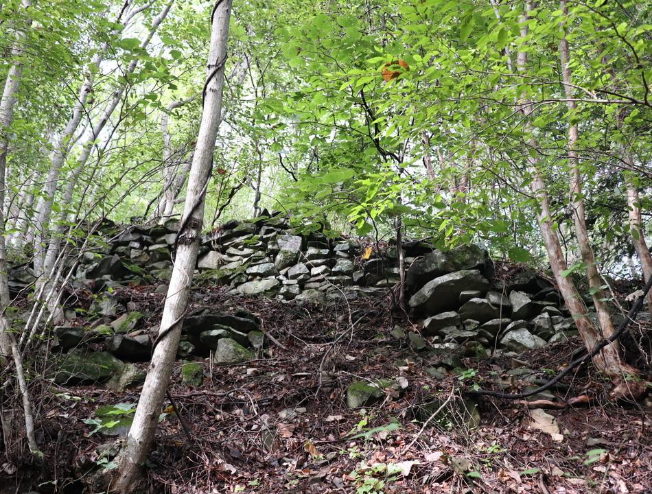 獅子吼城
