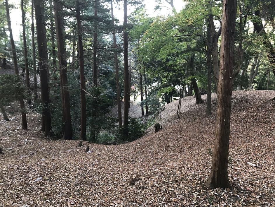 由木城