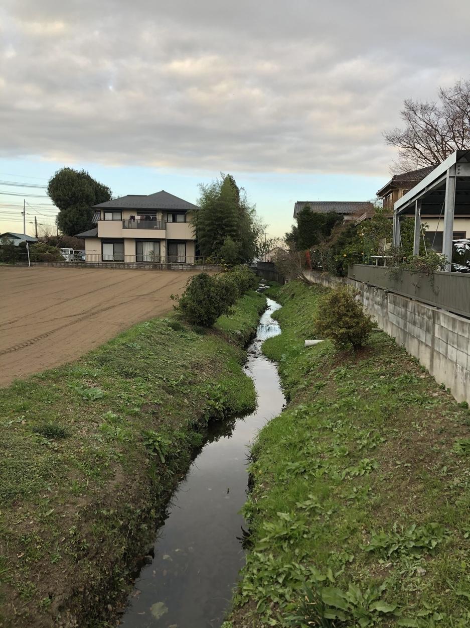 田波目城