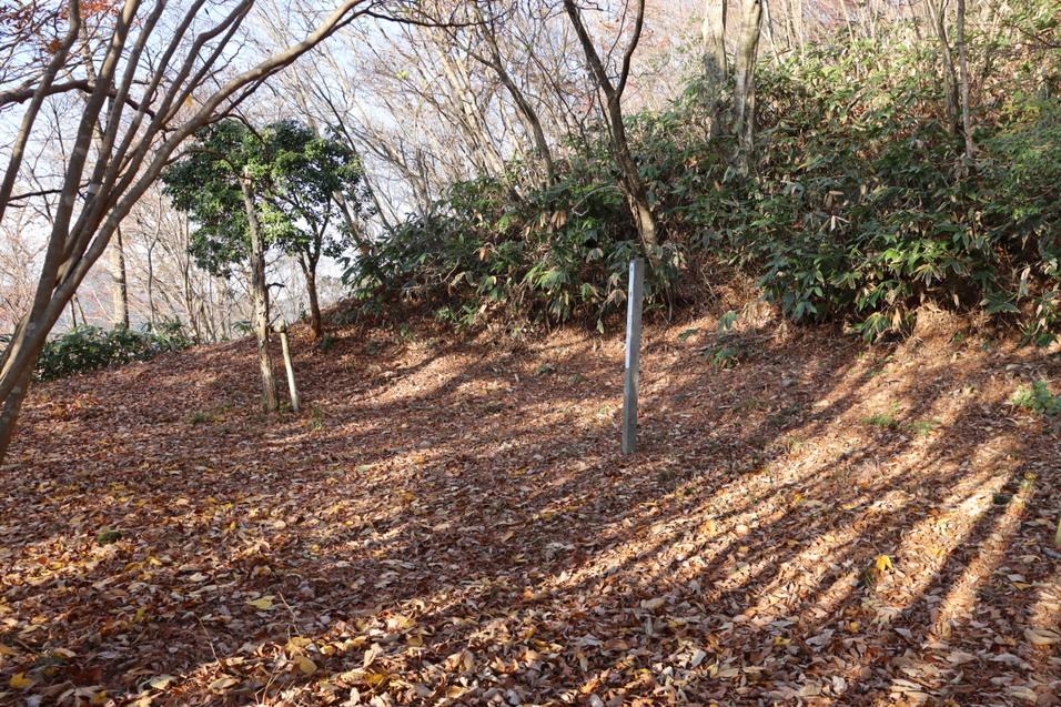 二ツ山城