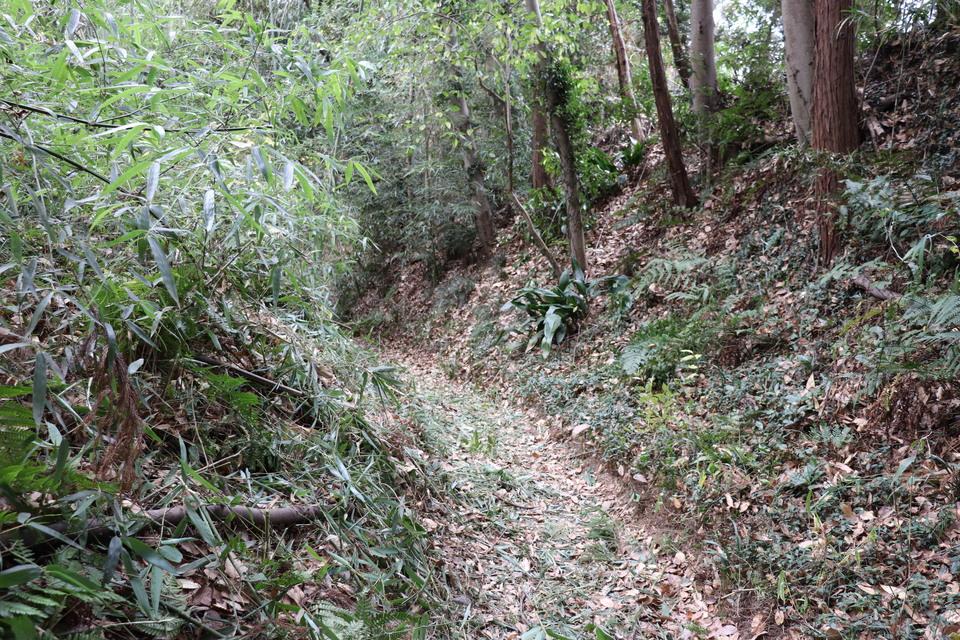 高月城