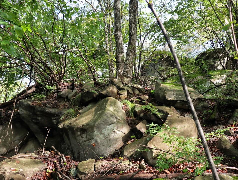 獅子吼城