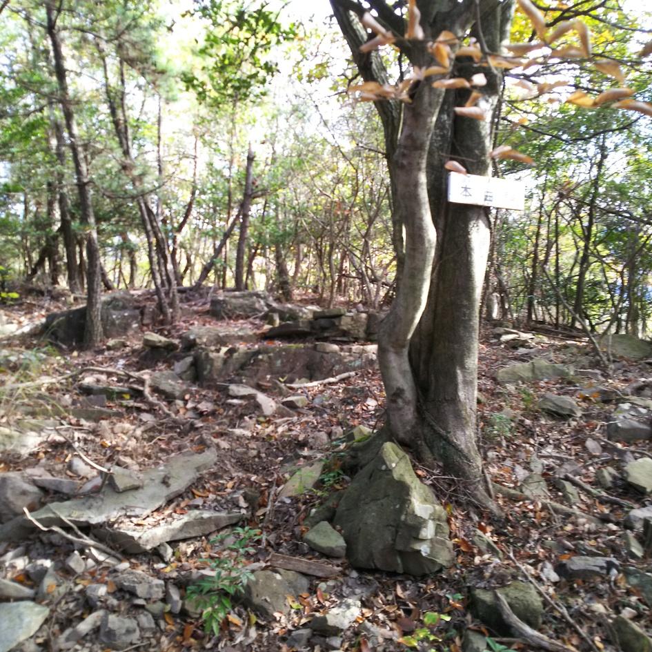皇踏山城