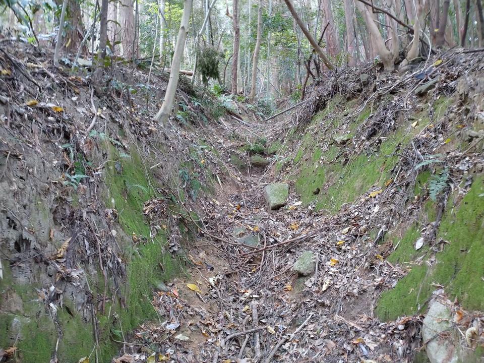 青山城