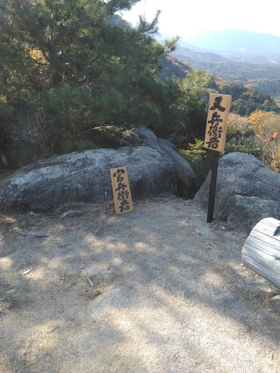 馬ヶ岳城