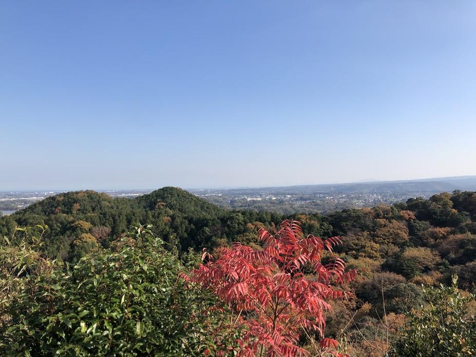 馬ヶ岳城