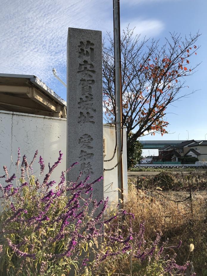 苅安賀城