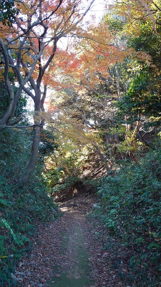 天筒山城