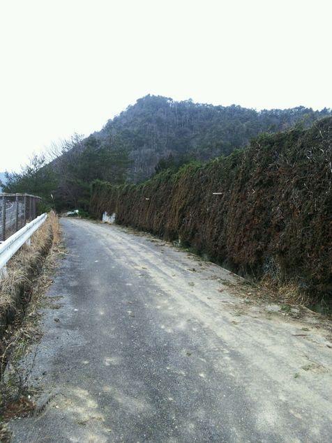 藤掛山城