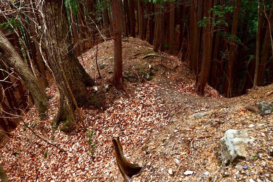 蓬山城