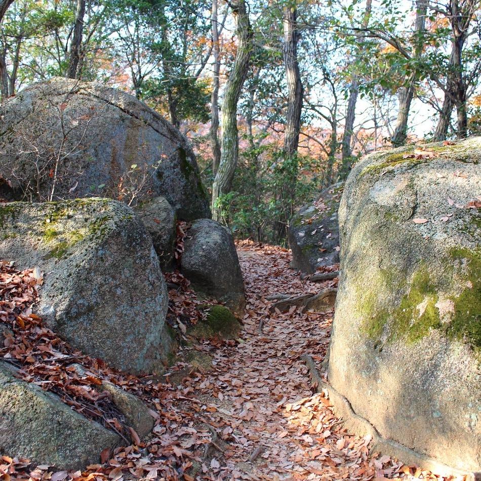 明禅寺城