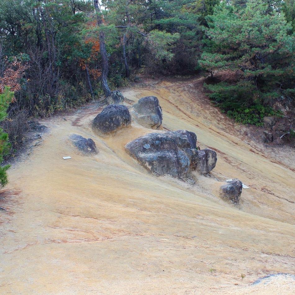 富山城