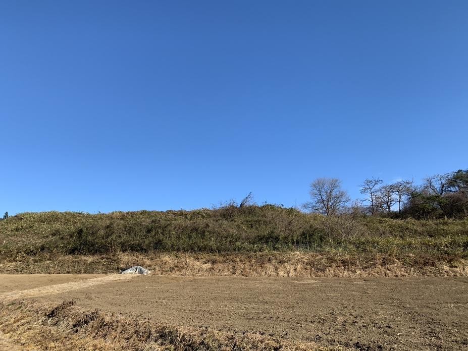根添城