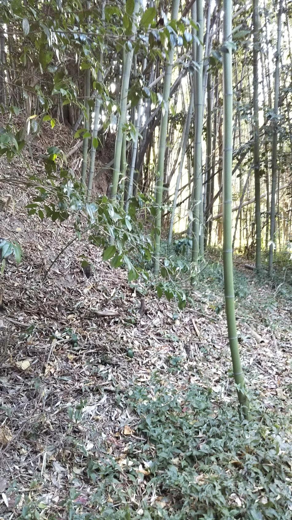富貴城