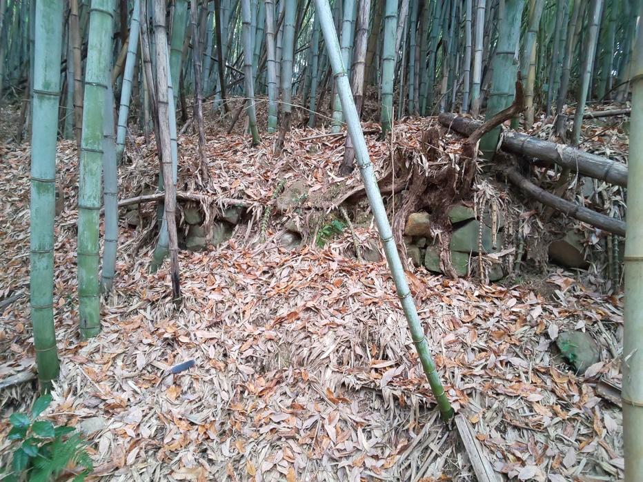 脇城
