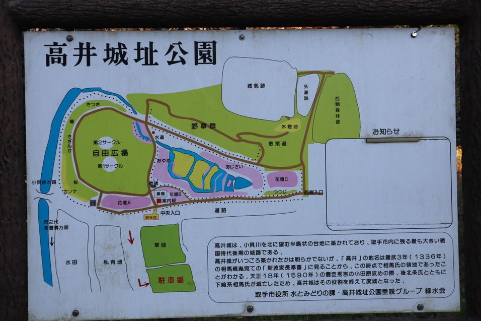 高井城