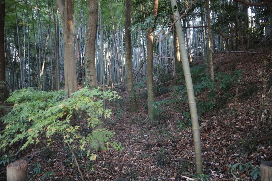 高井城