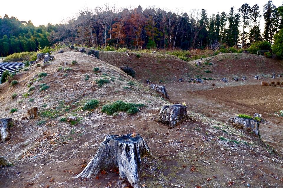 長者山城