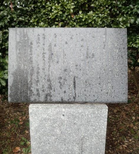 山鹿城