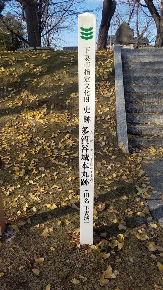 多賀谷城