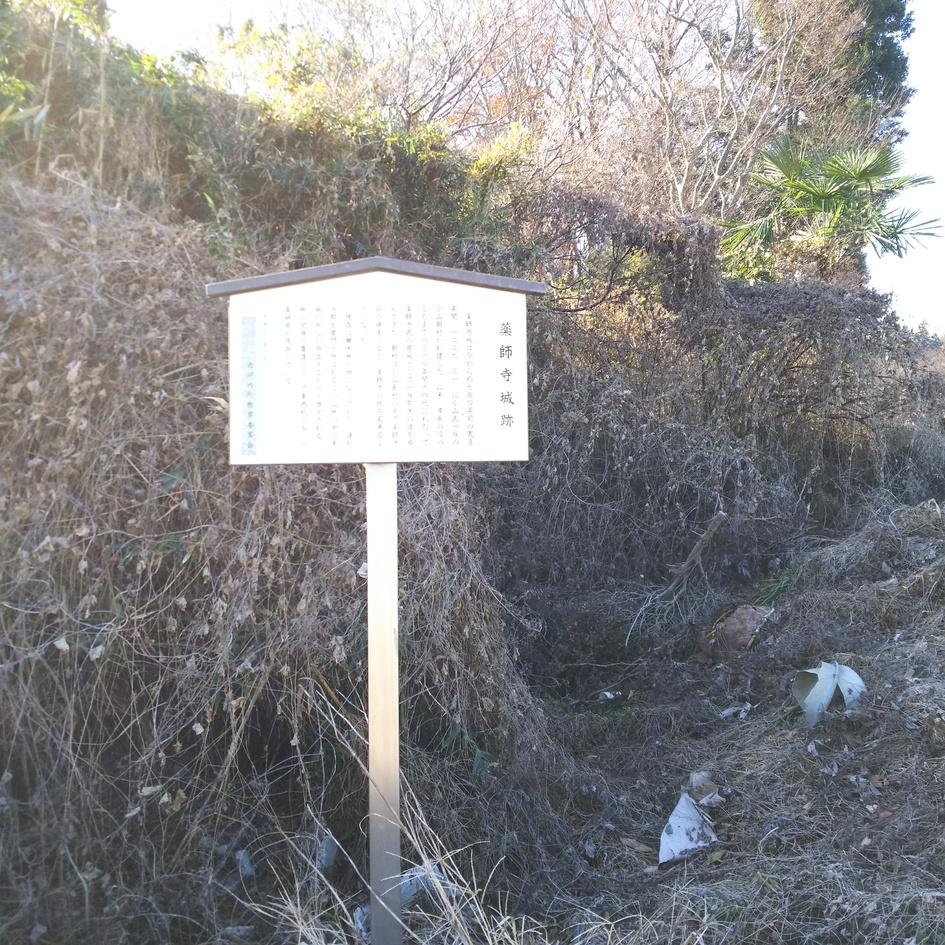 薬師寺城