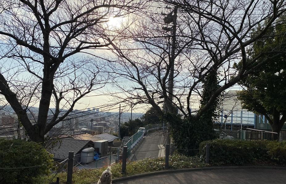 太田道灌屋敷