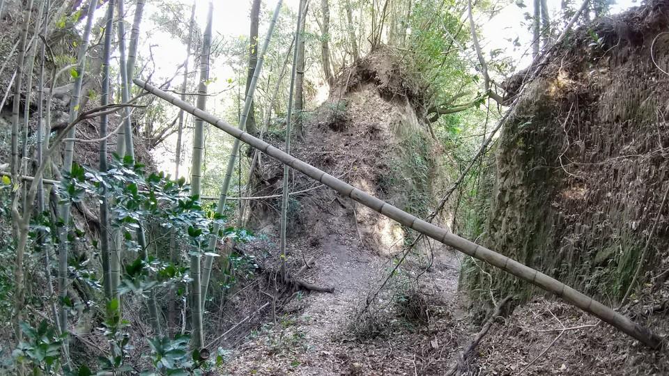 比志島城