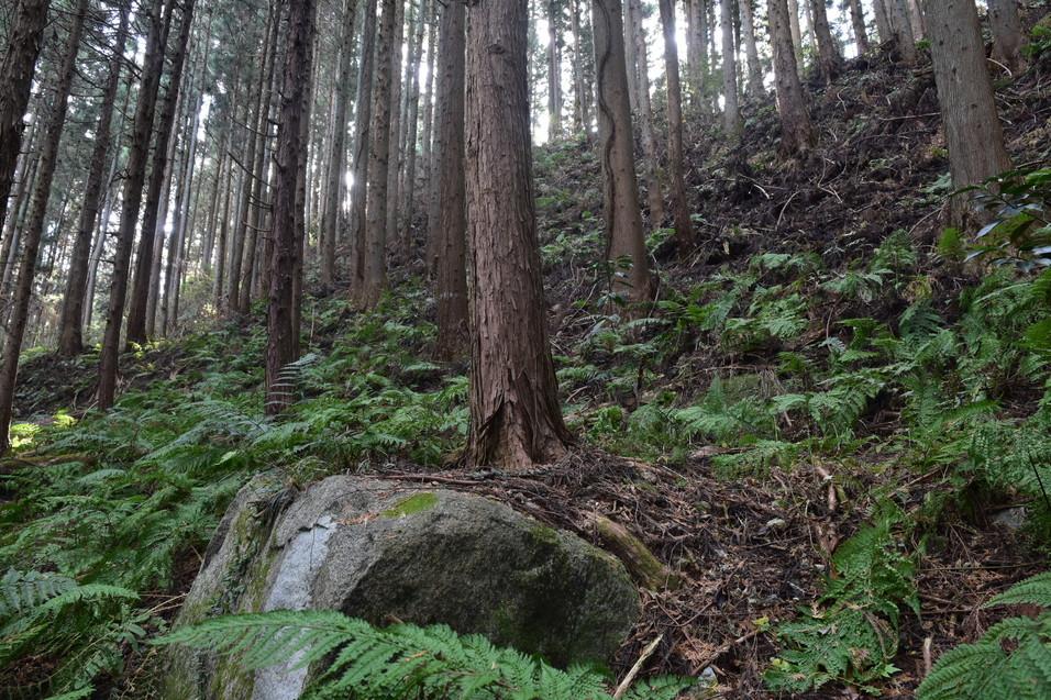 羽黒山城