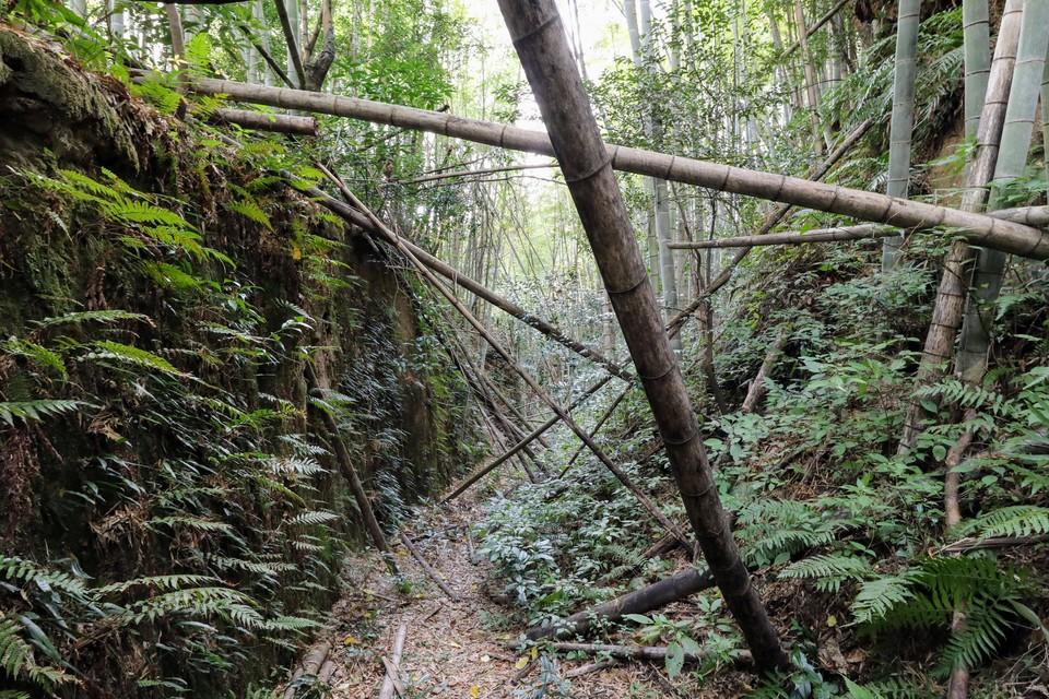 比志島城