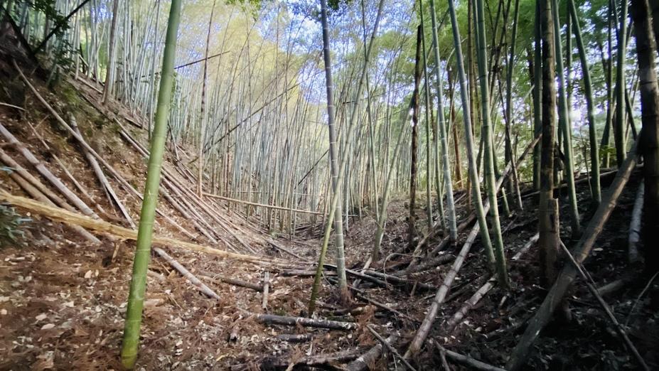 根古屋城