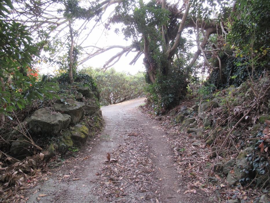 岡本城