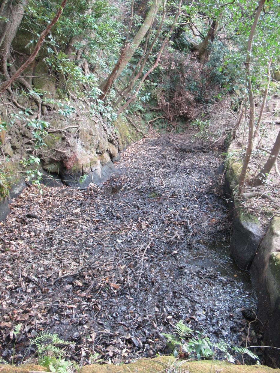造海城