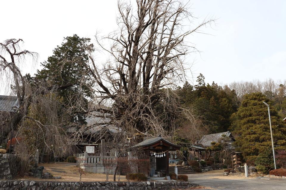 下山城