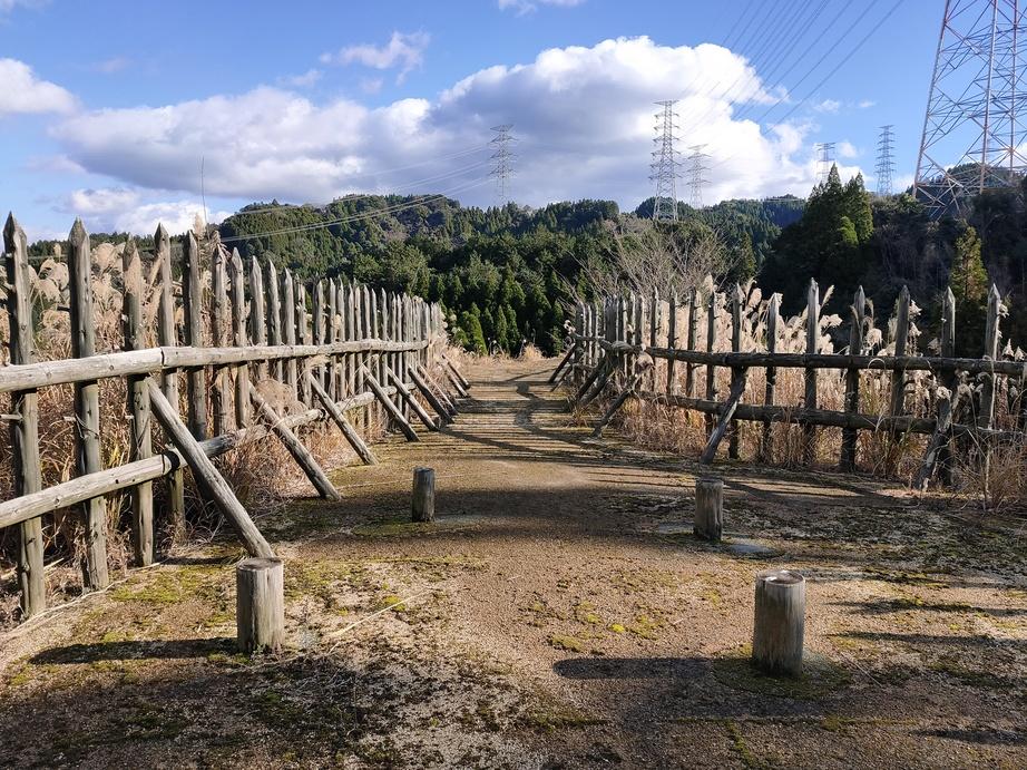 堅志田城