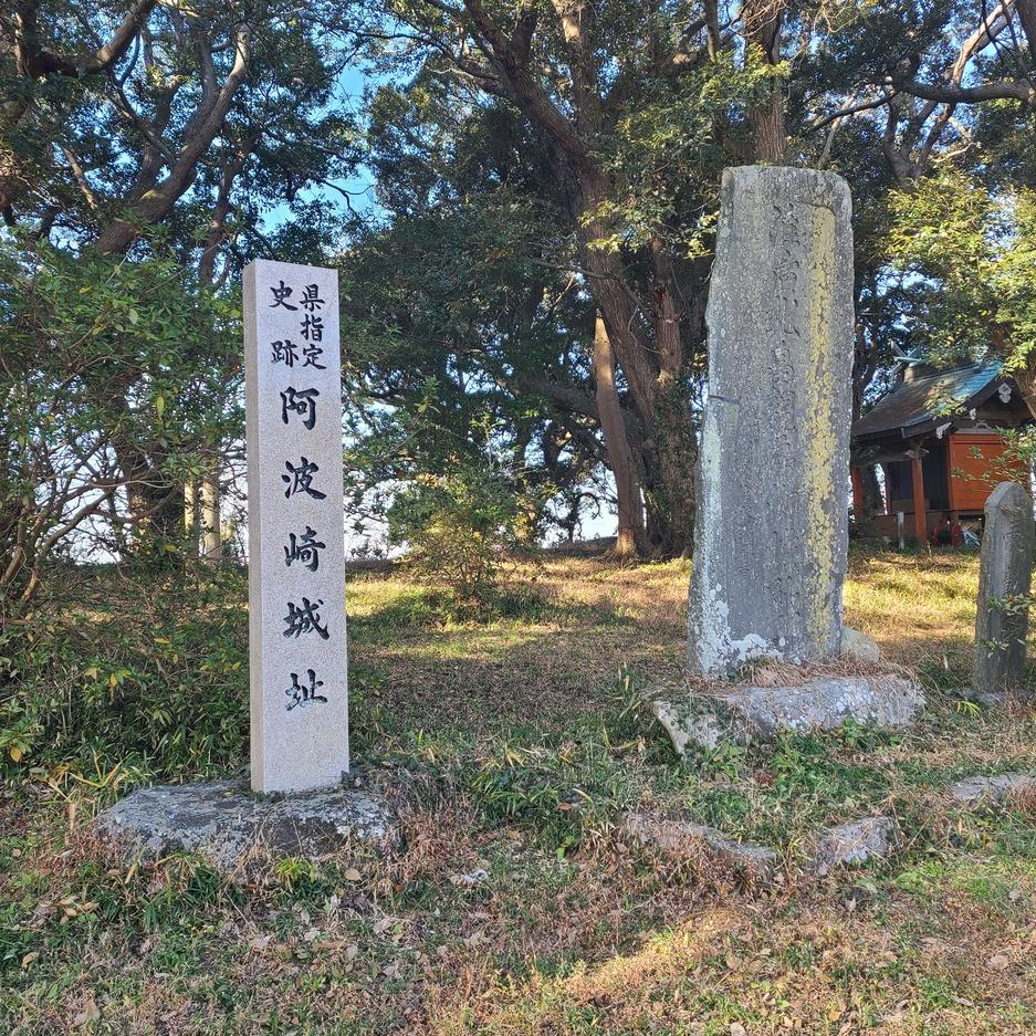 阿波崎城