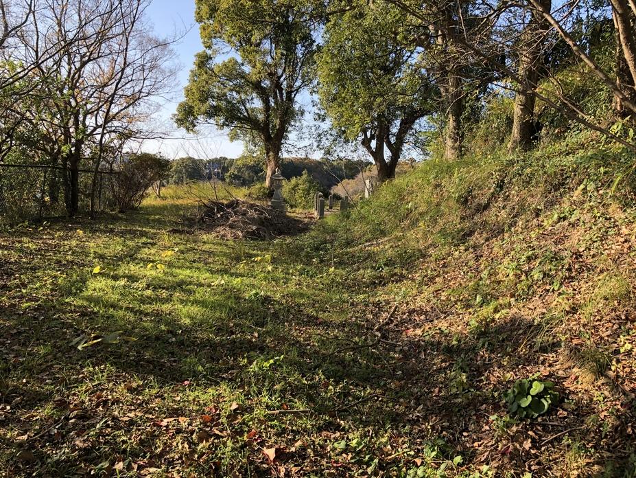 大矢野城