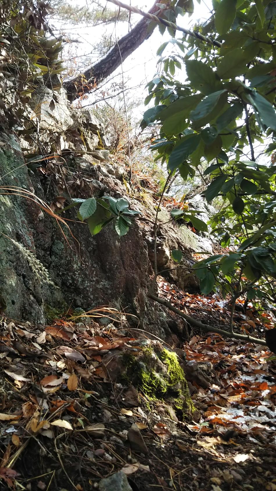 勝山城