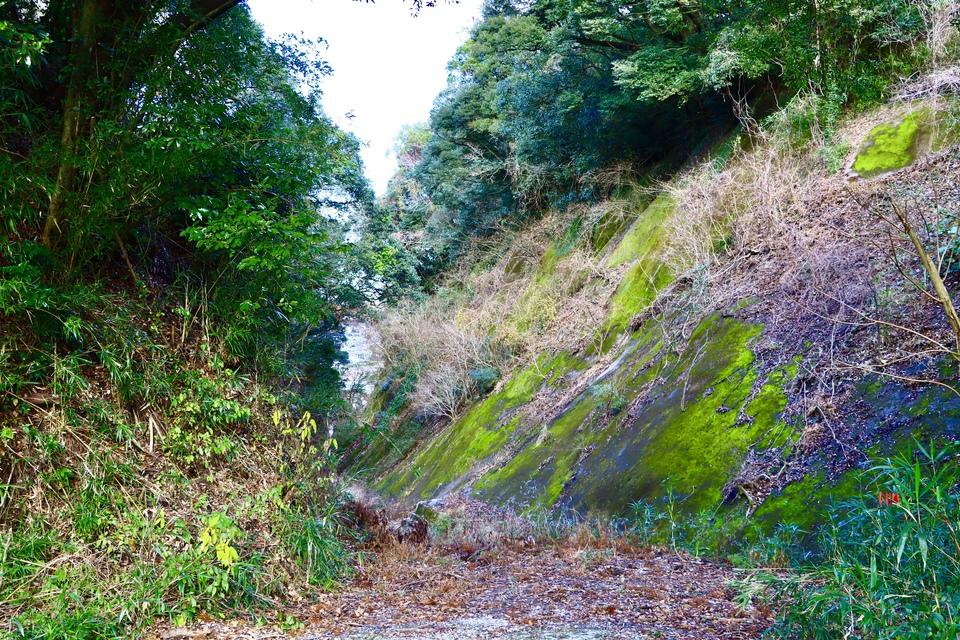 平山城