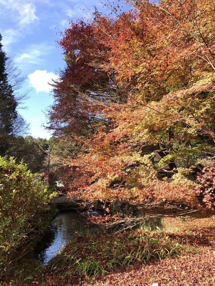 松平氏城館
