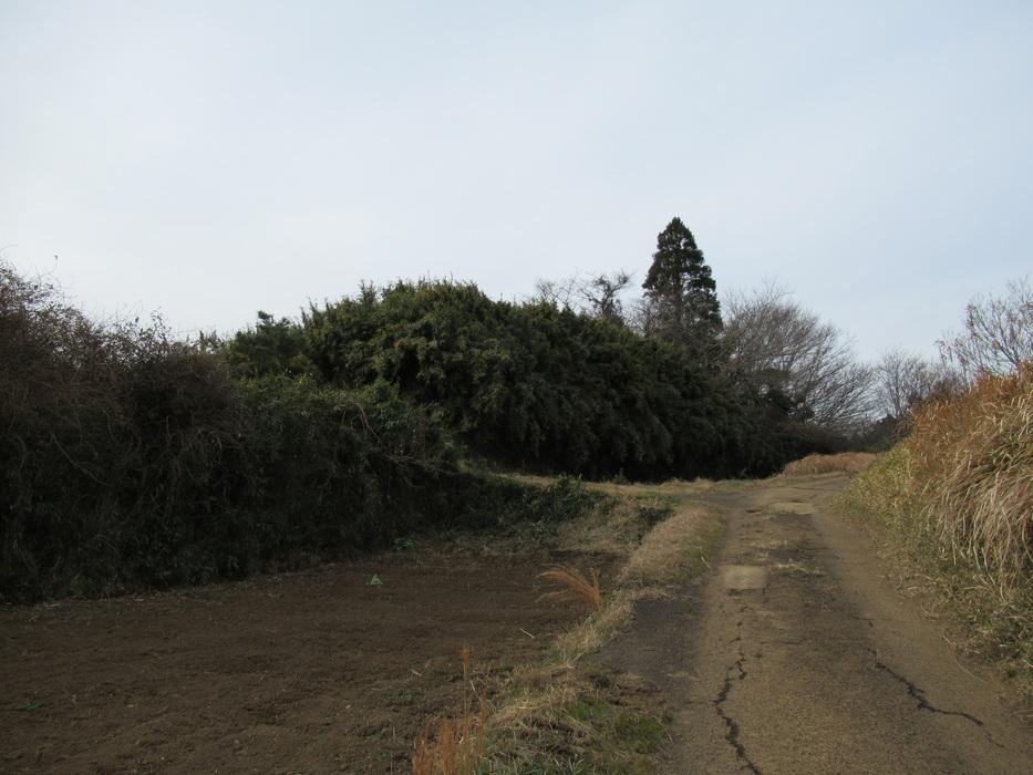 飯櫃城