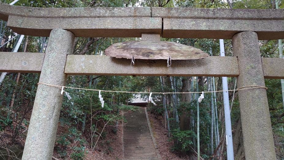 立江城