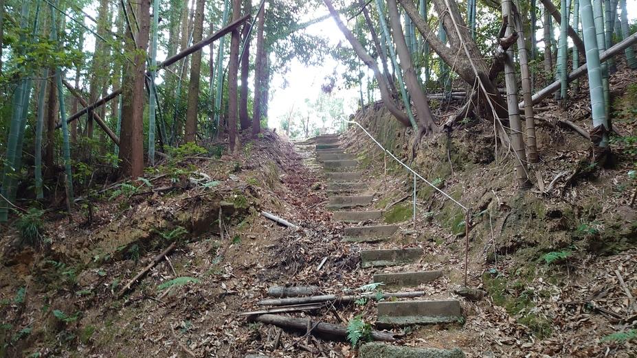 立江城