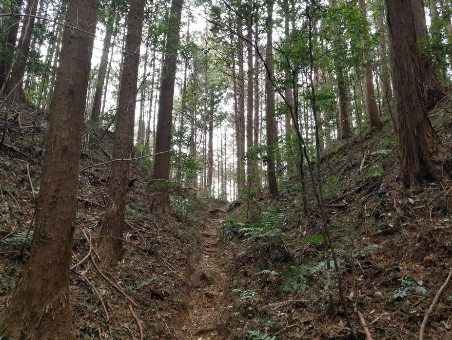 玉生城