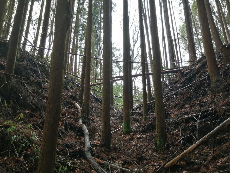 大除城