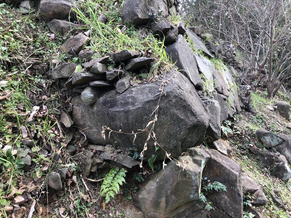 黒崎城