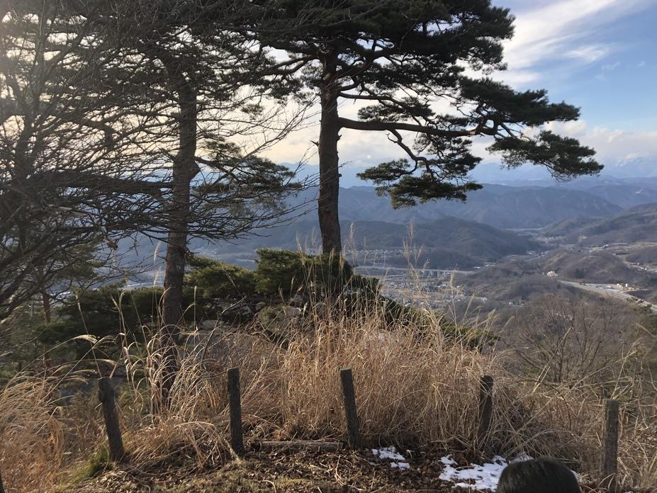 青柳城