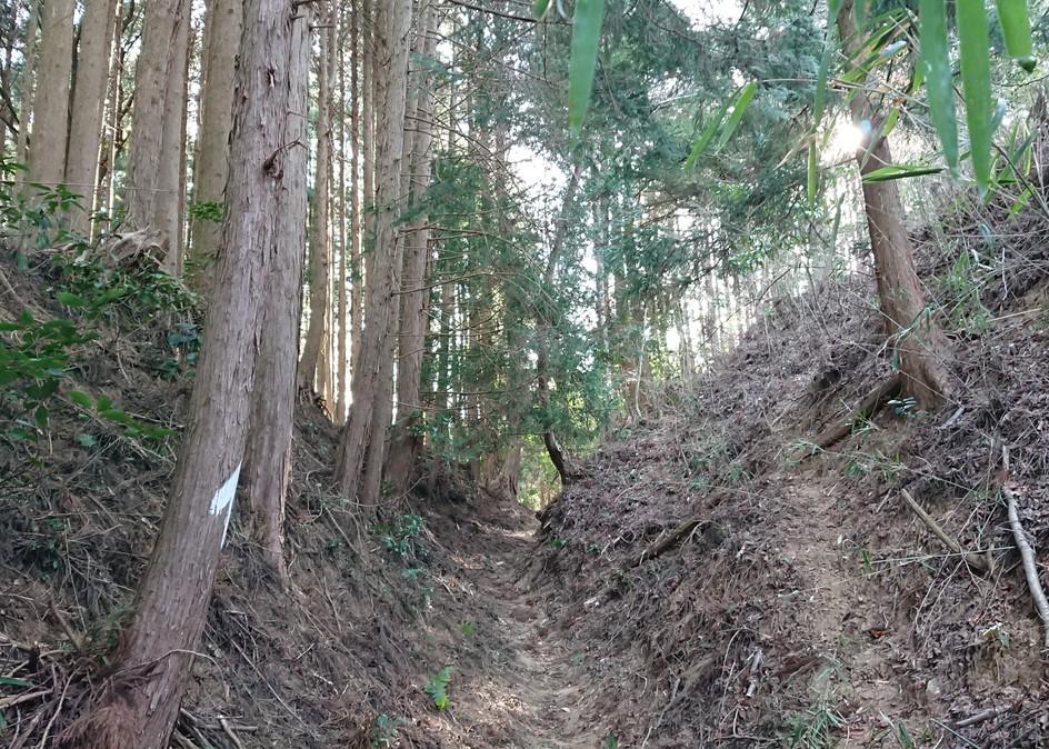 亀山城