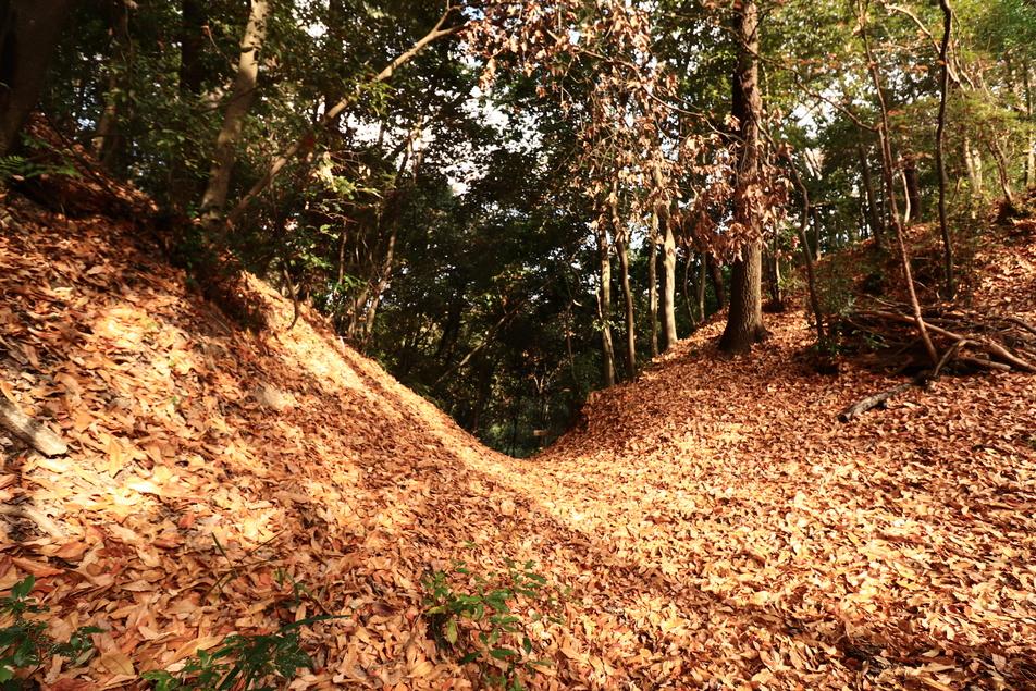 鹿背山城