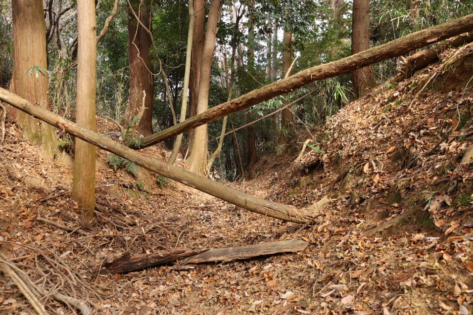 豊田城